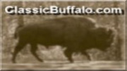 classic buffalo